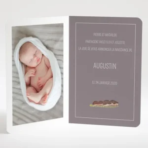 Faire-part de naissance Herissons en famille*Faire-part Elégant Fashion