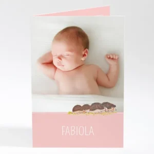 Faire-part de naissance Herissons en famille*Faire-part Elégant Fashion