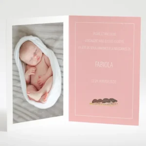 Faire-part de naissance Herissons en famille*Faire-part Elégant Fashion