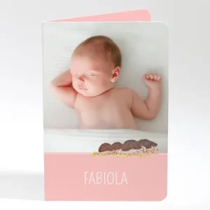 Faire-part de naissance Herissons en famille*Faire-part Elégant Fashion