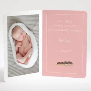 Faire-part de naissance Herissons en famille*Faire-part Elégant Fashion