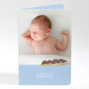 Faire-part de naissance Herissons en famille*Faire-part Elégant Fashion