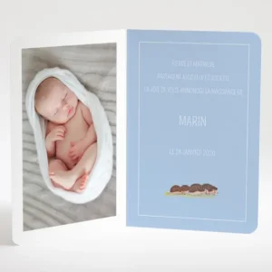Faire-part de naissance Herissons en famille*Faire-part Elégant Fashion
