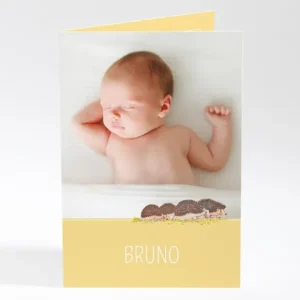 Faire-part de naissance Herissons en famille*Faire-part Elégant Fashion