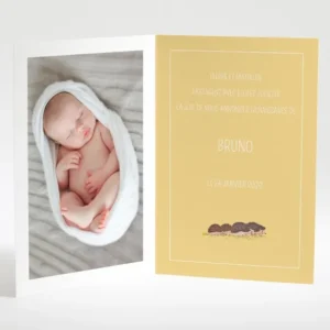 Faire-part de naissance Herissons en famille*Faire-part Elégant Fashion