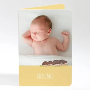 Faire-part de naissance Herissons en famille*Faire-part Elégant Fashion