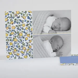 Faire-part de naissance Joyeux liberty*Faire-part Elégant Clearance