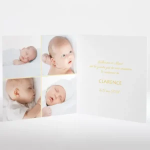 Faire-part de naissance Joli mimosa livret*Faire-part Elégant Hot