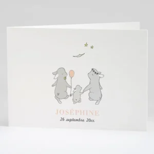 Faire-part de naissance Jolis lapins en famille*Faire-part Elégant Discount