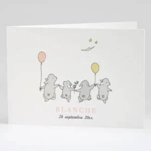 Faire-part de naissance Jolis lapins en famille 4 enfants*Faire-part Elégant Hot