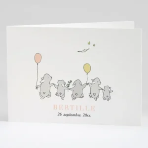 Faire-part de naissance Jolis lapins en famille 5 enfants*Faire-part Elégant Best