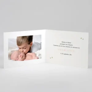 Faire-part de naissance Jolis lapins en famille 2 enfants*Faire-part Elégant Fashion