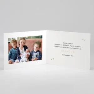 Faire-part de naissance Jolis lapins en famille 4 enfants*Faire-part Elégant Hot