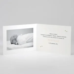 Faire-part de naissance Jolis lapins en famille 5 enfants*Faire-part Elégant Best