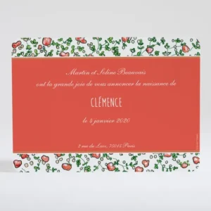 Faire-part de naissance Joyeux liberty*Faire-part Elégant Clearance