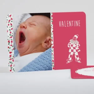 Faire-part de naissance Joli clown liberty*Faire-part Elégant New