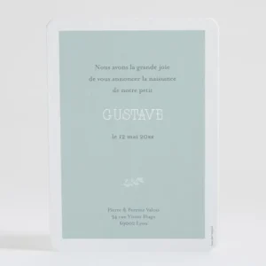 Faire-part de naissance Jolies baies*Faire-part Elégant Best