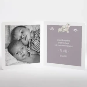 Faire-part de naissance Jolis elephants avec photo*Faire-part Elégant Best