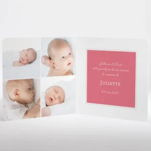 Faire-part de naissance Jolie cigogne tendance*Faire-part Elégant Online
