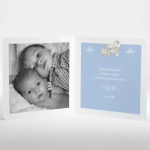 Faire-part de naissance Jolis elephants avec photo*Faire-part Elégant Best