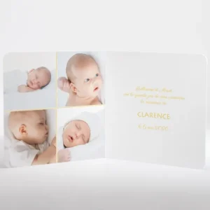 Faire-part de naissance Joli mimosa livret*Faire-part Elégant Hot