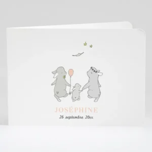 Faire-part de naissance Jolis lapins en famille*Faire-part Elégant Discount