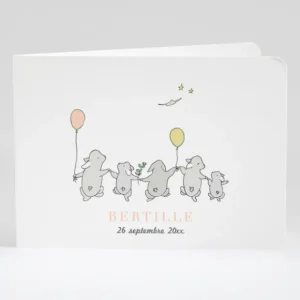 Faire-part de naissance Jolis lapins en famille 5 enfants*Faire-part Elégant Best