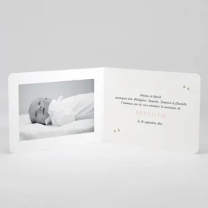 Faire-part de naissance Jolis lapins en famille 5 enfants*Faire-part Elégant Best