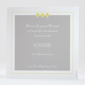 Faire-part de naissance Jolis elephants tendance*Faire-part Elégant Fashion