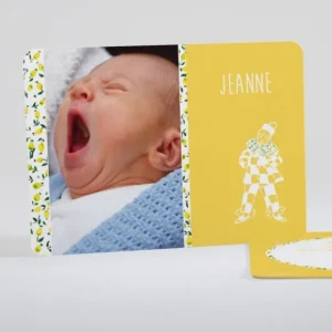 Faire-part de naissance Joli clown liberty*Faire-part Elégant New