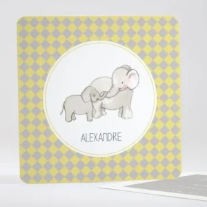 Faire-part de naissance Jolis elephants tendance*Faire-part Elégant Fashion