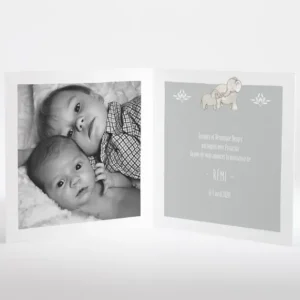 Faire-part de naissance Jolis elephants avec photo*Faire-part Elégant Best