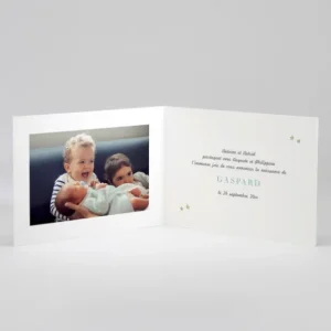 Faire-part de naissance Jolis lapins en famille 3 enfants*Faire-part Elégant Discount