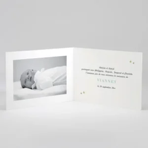 Faire-part de naissance Jolis lapins en famille 5 enfants*Faire-part Elégant Best
