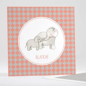 Faire-part de naissance Jolis elephants tendance*Faire-part Elégant Fashion
