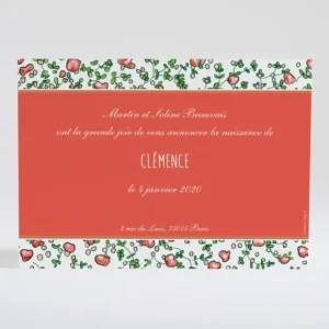 Faire-part de naissance Joyeux liberty*Faire-part Elégant Clearance