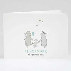 Faire-part de naissance Jolis lapins en famille*Faire-part Elégant Discount