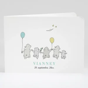 Faire-part de naissance Jolis lapins en famille 5 enfants*Faire-part Elégant Best