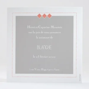 Faire-part de naissance Jolis elephants tendance*Faire-part Elégant Fashion