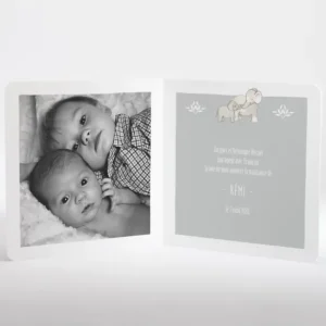 Faire-part de naissance Jolis elephants avec photo*Faire-part Elégant Best