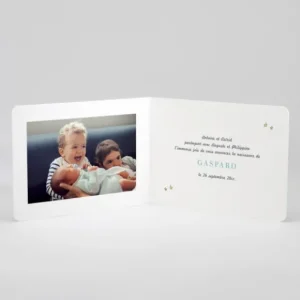 Faire-part de naissance Jolis lapins en famille 3 enfants*Faire-part Elégant Discount