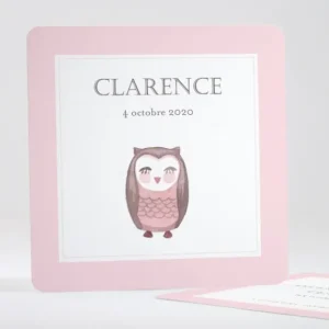 Faire-part de naissance Jolie chouette*Faire-part Elégant Sale