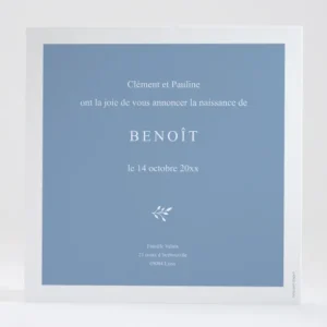 Faire-part de naissance Jubilation*Faire-part Elégant Clearance