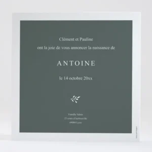 Faire-part de naissance Jubilation*Faire-part Elégant Clearance