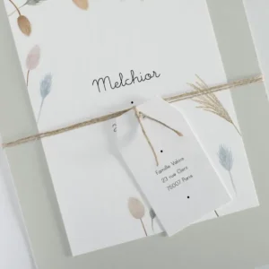 Faire-part de naissance Lagurus*Faire-part Elégant Discount