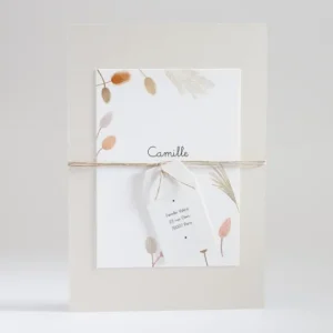 Faire-part de naissance Lagurus*Faire-part Elégant Discount