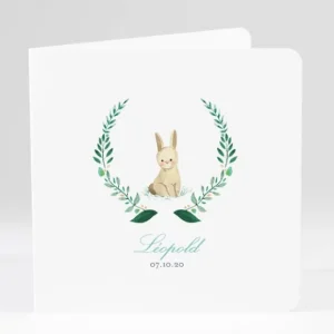 Faire-part de naissance Lapin Garcon*Faire-part Elégant Outlet