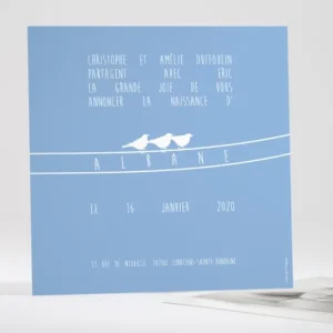 Faire-part de naissance Le chant des oiseaux*Faire-part Elégant New