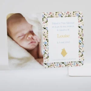 Faire-part de naissance Le chant du liberty*Faire-part Elégant Hot