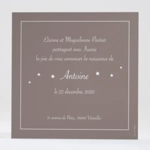 Faire-part de naissance Le petit messager*Faire-part Elégant Clearance